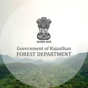 सरिस्का टाइगर मॉडल
